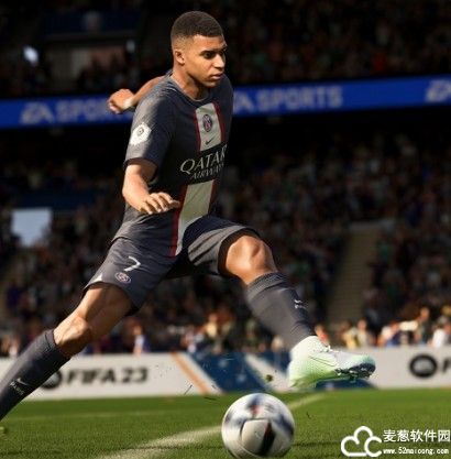 FIFA23电脑版